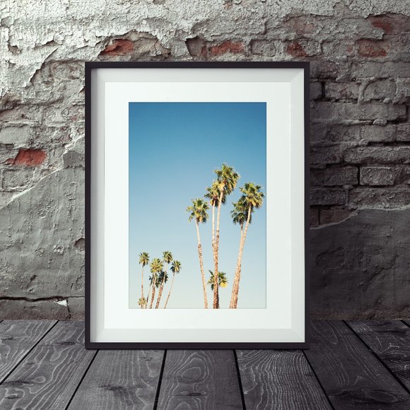 24 x 36 Palm Springs Photography